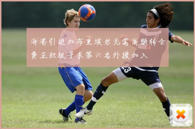 海港引进加布里埃尔无需高额转会费正积极寻求第六名外援加入